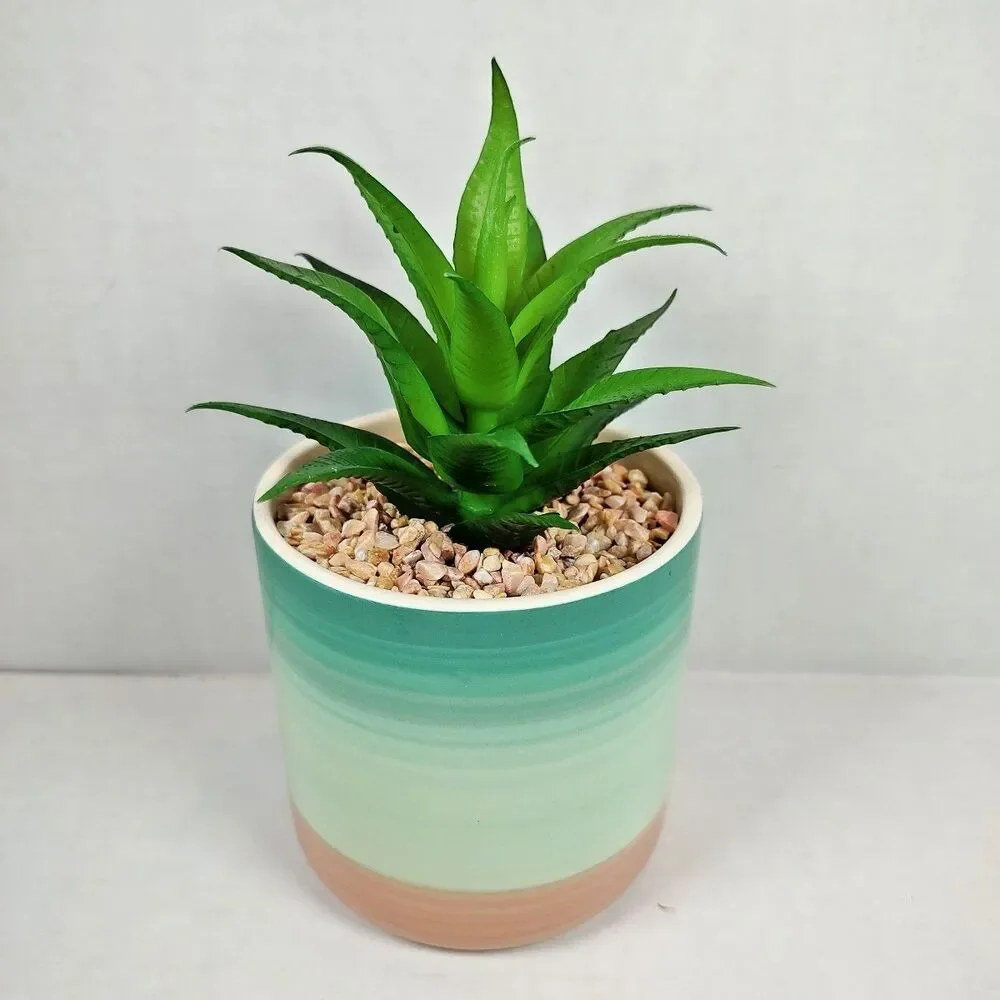 Artificial Succulent Potted Houseplant Teal Blue White Peach Tone Ceramic Rocks